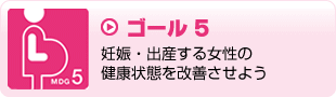 ゴール5　妊娠・出産する女性の健康状態を改善させよう