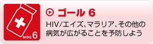 ゴール6　HIV/エイズ､マラリア､その他の病気が広がることを予防しよう