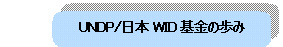 UNDP/日本WID基金の歩み